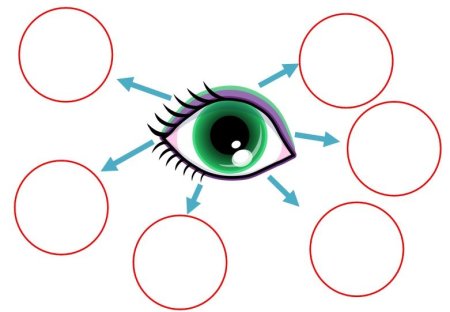 Игра органы чувств для дошкольников