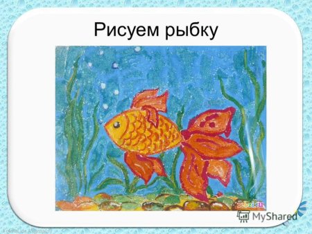 Рисование рыбки в старшей группе