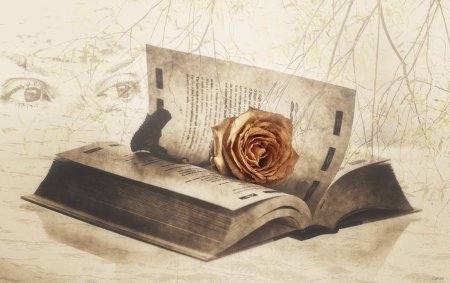 Иллюстрации к поэзии