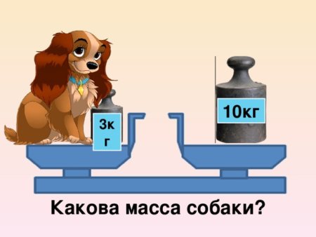 Предметы для измерения веса