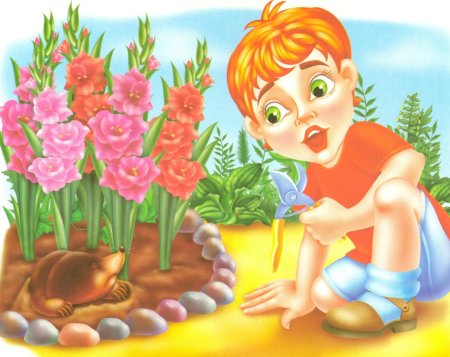 Эмоции и чувства для детей