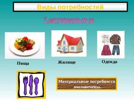 Потребность в пище одежде жилище