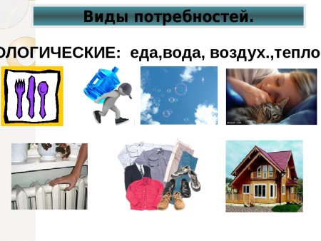 Биологические потребности человека