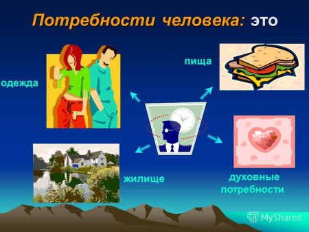 Потребности человека пища одежда