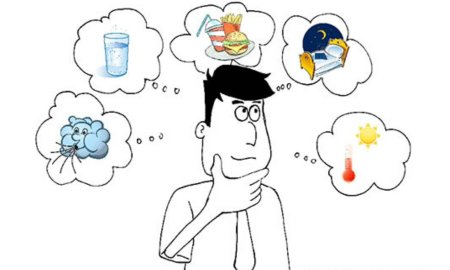 Потребности человека рисунок