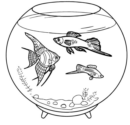 Раскраска рыбка