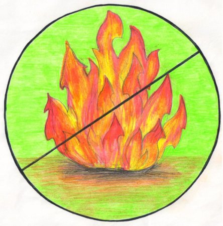 Пожар в лесу для детей