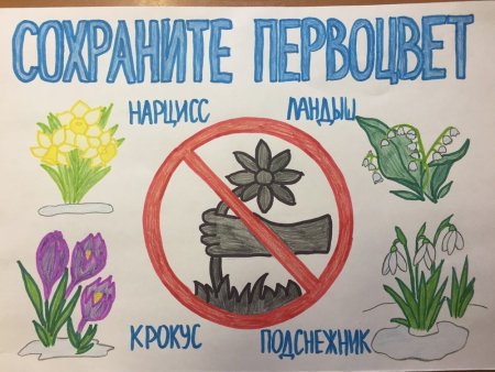 Зелёная Планета глазами детей