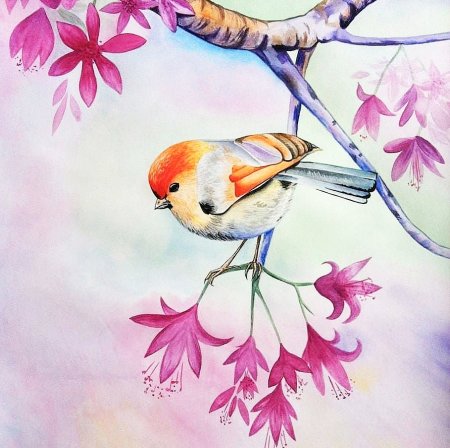 Рисование с детьми синичка