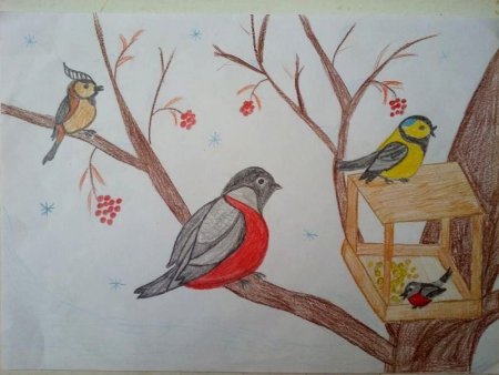 Рисование птиц