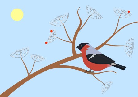 Птицы. Раскраска