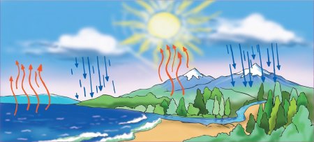 Круговорот воды в природе для детей