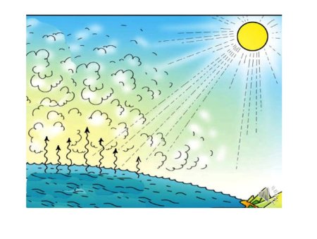 Мировой круговорот воды