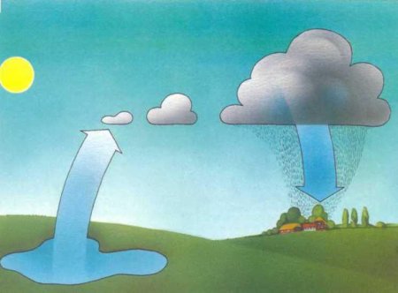 Общая схема круговорота воды (по ф. Рамаду, 1981)