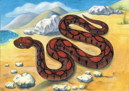 Змея гуашью
