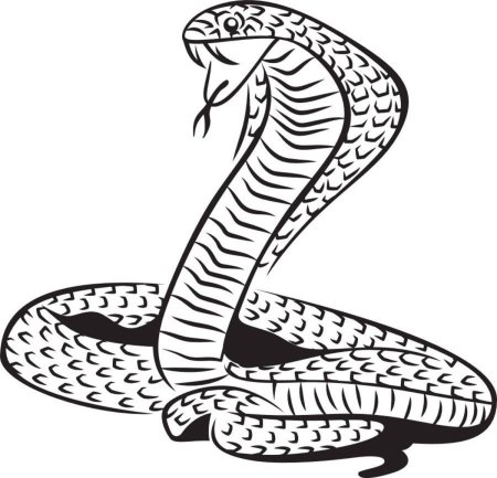 Кобра рисунок карандашом для детей