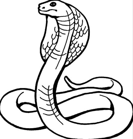 Змея раскраска