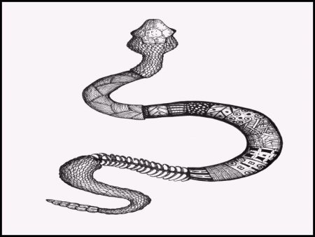 Змеи иллюстрации