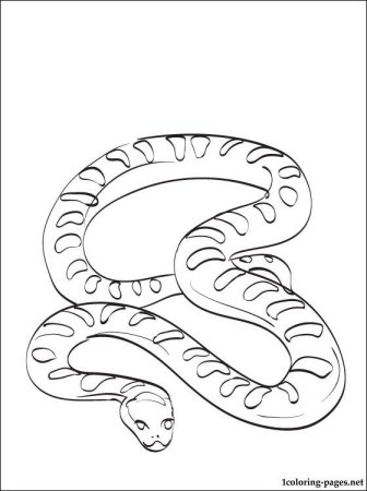 Анаконда раскраска