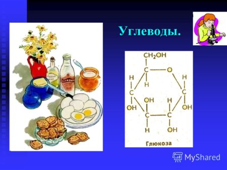 Тема углеводы