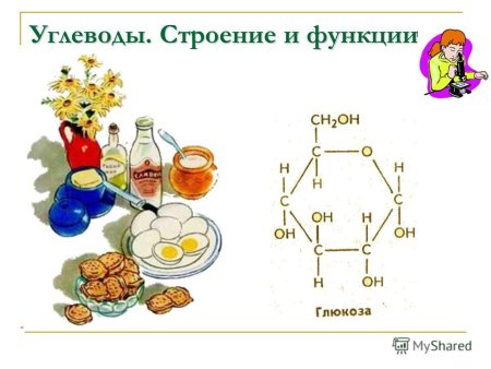 Строение углеводов рисунок