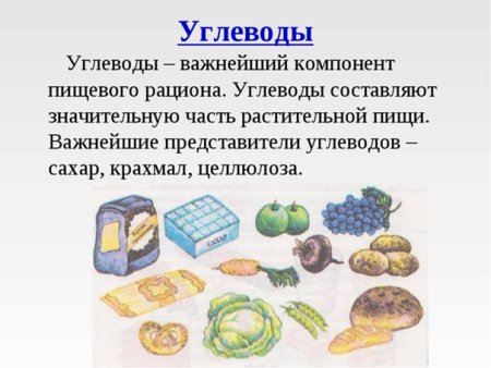Углеводы определение