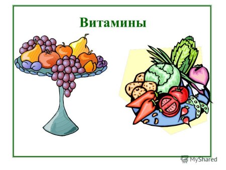 Пищевые вещества жиры белки углеводы витамины