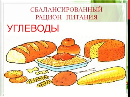 Продукты богатые углеводами жирами