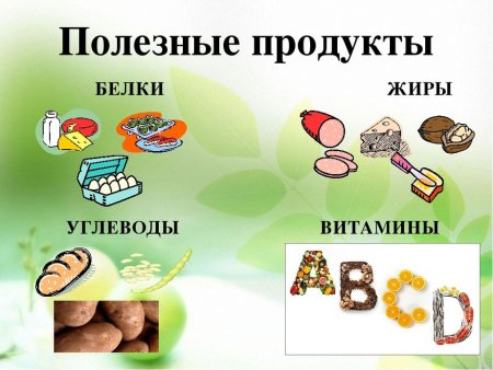 Пища и питательные вещества