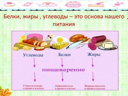 Белки жиры углеводы