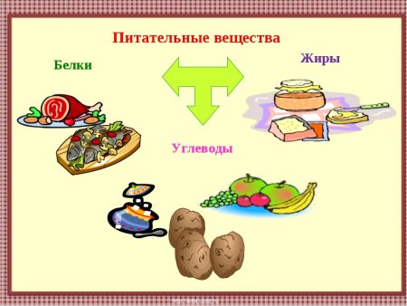 Неорганические вещества в пище