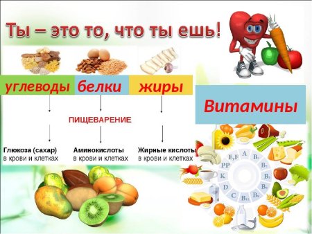 Белки жиры углеводы в продуктах
