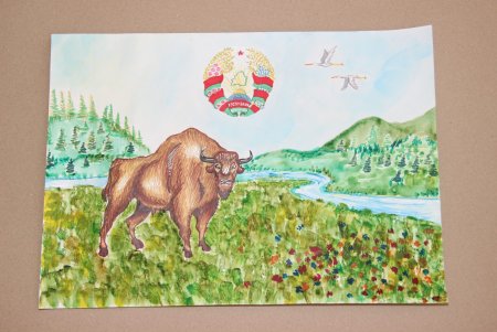 Беларусь рисунок