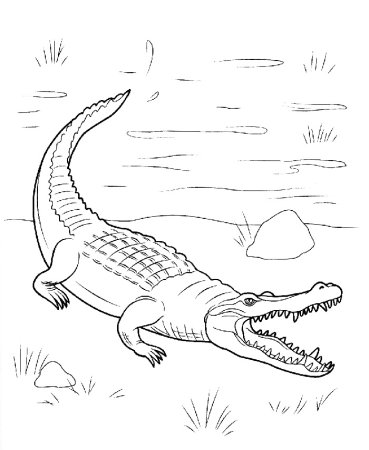 Графический крокодил
