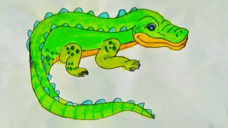 Крокодил раскраска для детей
