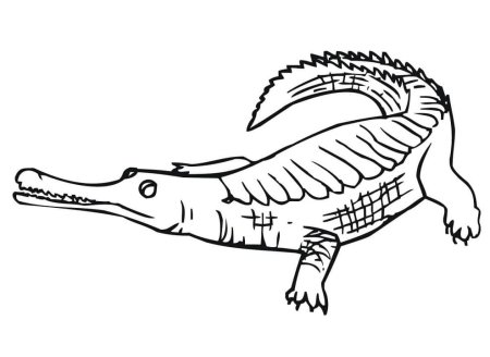 Раскраска крокодил