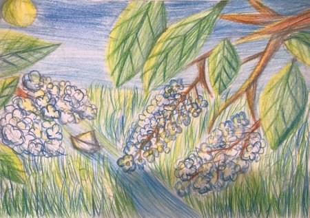 Рисование капельки воды