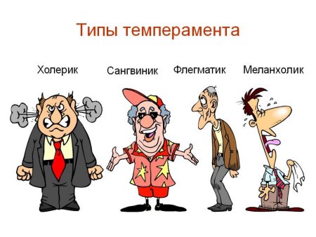Холерик флегматик меланхолик