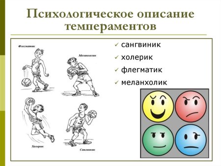Типы личности в психологии холерик сангвиник флегматик