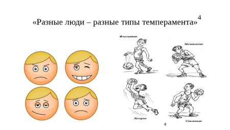 Темперамент ребенка