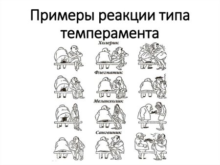 Типы личности человека холерик сангвиник
