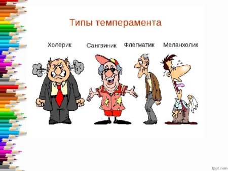 Темперамент учителя