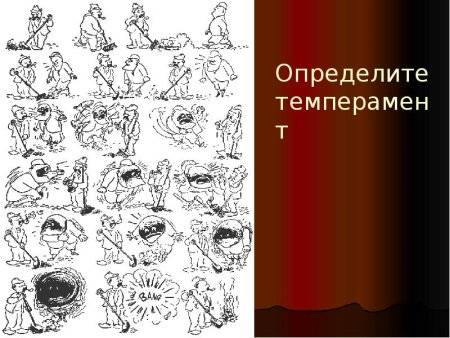 Темперамент человека определяется: