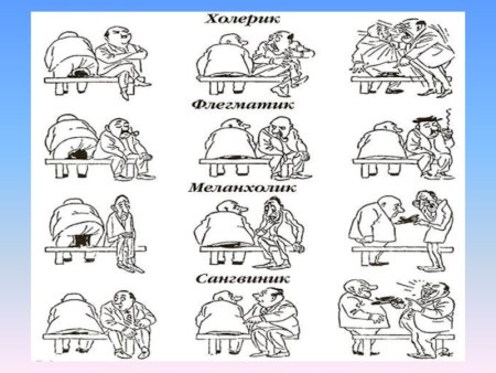 Типы детей по темпераменту