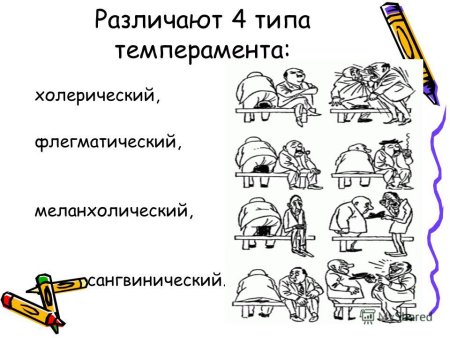 Типы темперамента