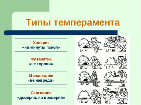 Темперамент человека