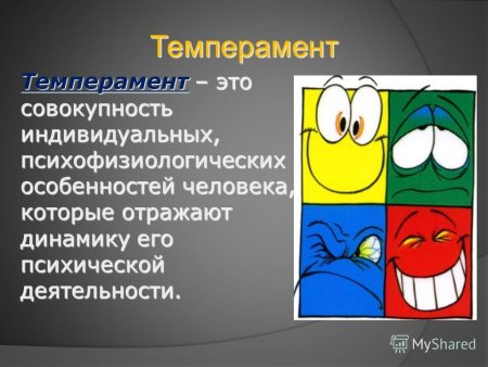 Темперамент картинки