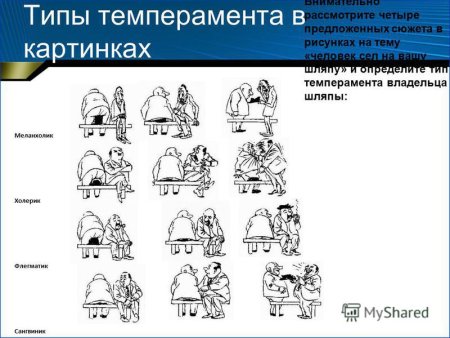 Один из четырёх типов темперамента