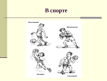 Типы темперамента в спорте