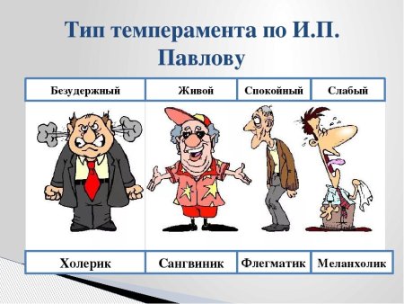 Типы личности холерик сангвиник